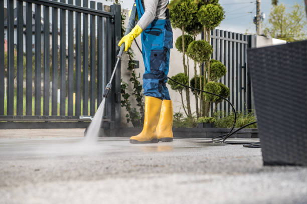 Best Soft Washing  in Benicia, CA